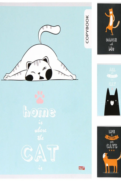 08cc50bb-ef73-458a-8448-7c884f70fa59